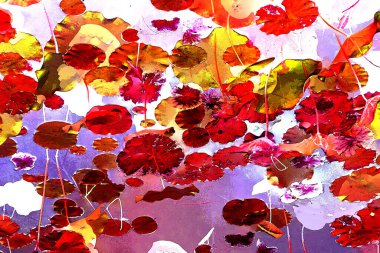 Nilüfer yaprakları ve nilüfer yapraklarıyla sunulan zarif desenli tasarım.