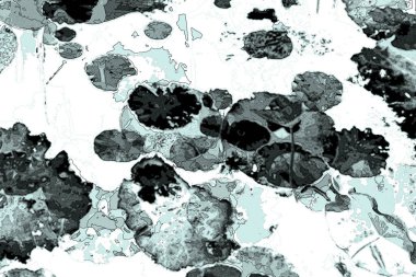 Nilüfer yaprakları ve nilüfer yapraklarıyla sunulan zarif desenli tasarım.