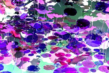 Nilüfer yaprakları ve nilüfer yapraklarıyla sunulan zarif desenli tasarım.