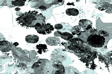 Nilüfer yaprakları ve nilüfer yapraklarıyla sunulan zarif desenli tasarım.