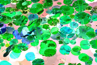 Nilüfer yaprakları ve nilüfer yapraklarıyla sunulan zarif desenli tasarım.