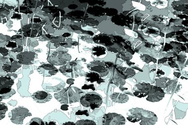 Nilüfer yaprakları ve nilüfer yapraklarıyla sunulan zarif desenli tasarım.