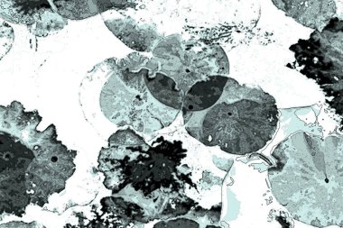 Nilüfer yaprakları ve nilüfer yapraklarıyla sunulan zarif desenli tasarım.