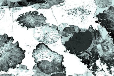 Nilüfer yaprakları ve nilüfer yapraklarıyla sunulan zarif desenli tasarım.