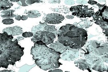 Nilüfer yaprakları ve nilüfer yapraklarıyla sunulan zarif desenli tasarım.