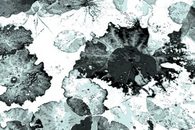 Nilüfer yaprakları ve nilüfer yapraklarıyla sunulan zarif desenli tasarım.