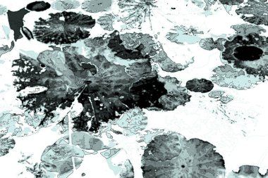 Nilüfer yaprakları ve nilüfer yapraklarıyla sunulan zarif desenli tasarım.