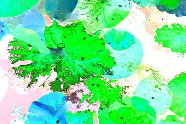 Nilüfer yaprakları ve nilüfer yapraklarıyla sunulan zarif desenli tasarım.