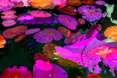 Nilüfer yaprakları ve nilüfer yapraklarıyla sunulan zarif desenli tasarım.