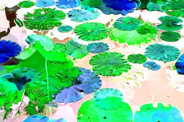 Nilüfer yaprakları ve nilüfer yapraklarıyla sunulan zarif desenli tasarım.