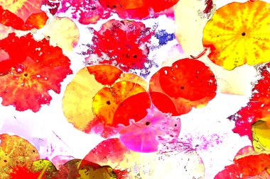 Nilüfer yaprakları ve nilüfer yapraklarıyla sunulan zarif desenli tasarım.