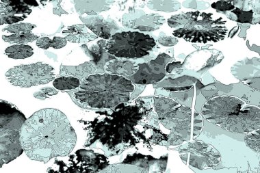 Nilüfer yaprakları ve nilüfer yapraklarıyla sunulan zarif desenli tasarım.