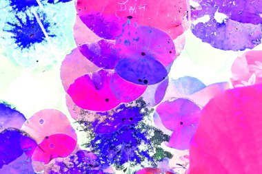 Nilüfer yaprakları ve nilüfer yapraklarıyla sunulan zarif desenli tasarım.