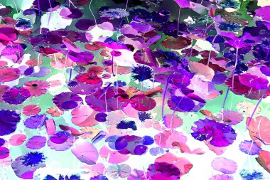 Nilüfer yaprakları ve nilüfer yapraklarıyla sunulan zarif desenli tasarım.