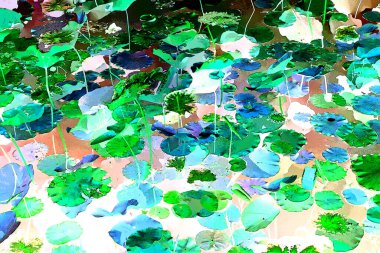 Nilüfer yaprakları ve nilüfer yapraklarıyla sunulan zarif desenli tasarım.