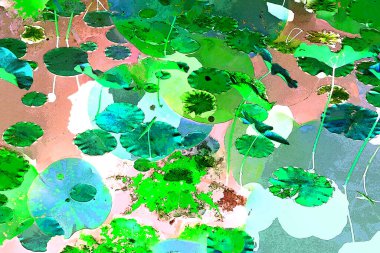 Nilüfer yaprakları ve nilüfer yapraklarıyla sunulan zarif desenli tasarım.