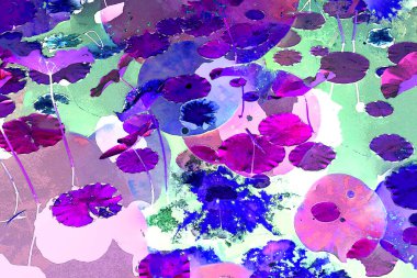 Nilüfer yaprakları ve nilüfer yapraklarıyla sunulan zarif desenli tasarım.