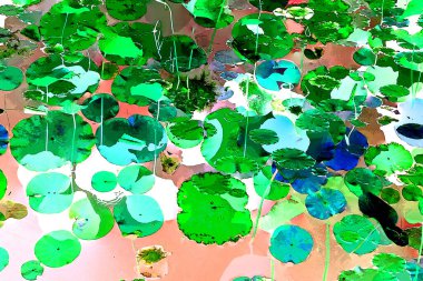 Nilüfer yaprakları ve nilüfer yapraklarıyla sunulan zarif desenli tasarım.