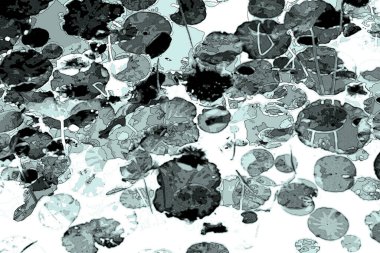 Nilüfer yaprakları ve nilüfer yapraklarıyla sunulan zarif desenli tasarım.