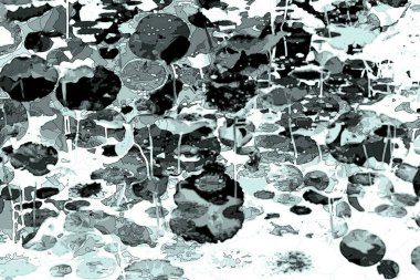 Nilüfer yaprakları ve nilüfer yapraklarıyla sunulan zarif desenli tasarım.