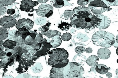 Nilüfer yaprakları ve nilüfer yapraklarıyla sunulan zarif desenli tasarım.