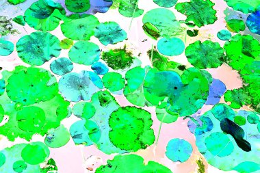 Nilüfer yaprakları ve nilüfer yapraklarıyla sunulan zarif desenli tasarım.