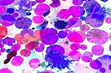 Nilüfer yaprakları ve nilüfer yapraklarıyla sunulan zarif desenli tasarım.