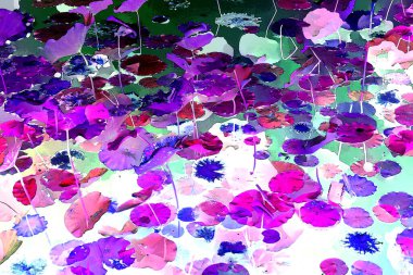 Nilüfer yaprakları ve nilüfer yapraklarıyla sunulan zarif desenli tasarım.