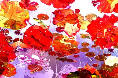 Nilüfer yaprakları ve nilüfer yapraklarıyla sunulan zarif desenli tasarım.