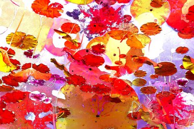 Nilüfer yaprakları ve nilüfer yapraklarıyla sunulan zarif desenli tasarım.