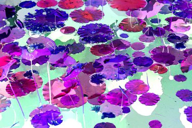 Nilüfer yaprakları ve nilüfer yapraklarıyla sunulan zarif desenli tasarım.