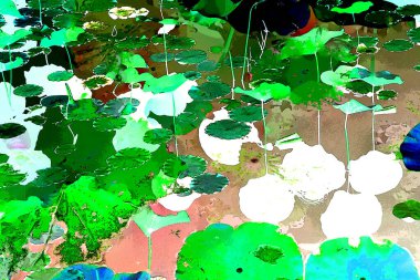 Nilüfer yaprakları ve nilüfer yapraklarıyla sunulan zarif desenli tasarım.