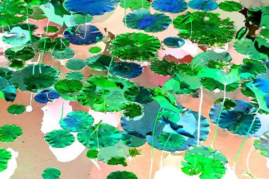 Nilüfer yaprakları ve nilüfer yapraklarıyla sunulan zarif desenli tasarım.