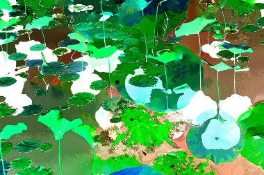 Nilüfer yaprakları ve nilüfer yapraklarıyla sunulan zarif desenli tasarım.