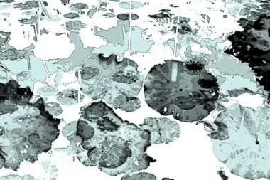 Nilüfer yaprakları ve nilüfer yapraklarıyla sunulan zarif desenli tasarım.