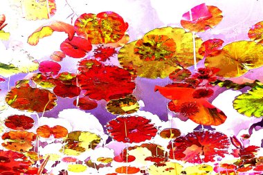 Nilüfer yaprakları ve nilüfer yapraklarıyla sunulan zarif desenli tasarım.