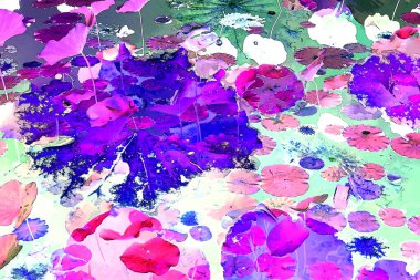 Nilüfer yaprakları ve nilüfer yapraklarıyla sunulan zarif desenli tasarım.