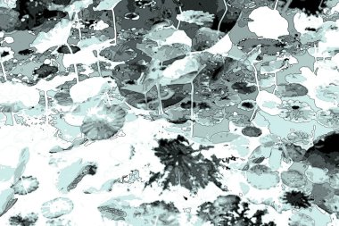 Nilüfer yaprakları ve nilüfer yapraklarıyla sunulan zarif desenli tasarım.