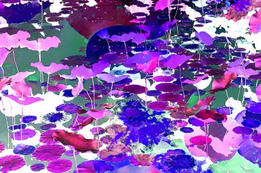 Nilüfer yaprakları ve nilüfer yapraklarıyla sunulan zarif desenli tasarım.