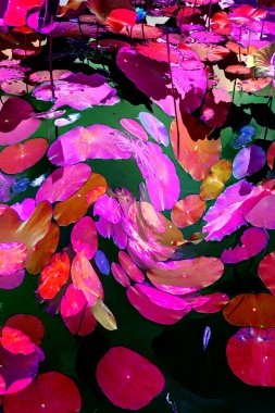 Nilüfer yaprakları ve nilüfer yapraklarıyla sunulan zarif desenli tasarım.