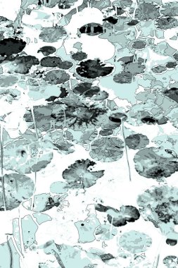 Nilüfer yaprakları ve nilüfer yapraklarıyla sunulan zarif desenli tasarım.