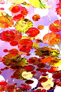 Nilüfer yaprakları ve nilüfer yapraklarıyla sunulan zarif desenli tasarım.