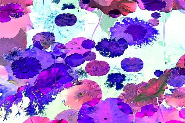 Nilüfer yaprakları ve nilüfer yapraklarıyla sunulan zarif desenli tasarım.