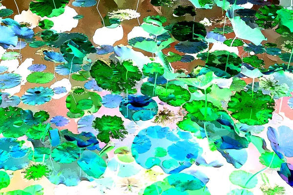 Nilüfer yaprakları ve nilüfer yapraklarıyla sunulan zarif desenli tasarım.