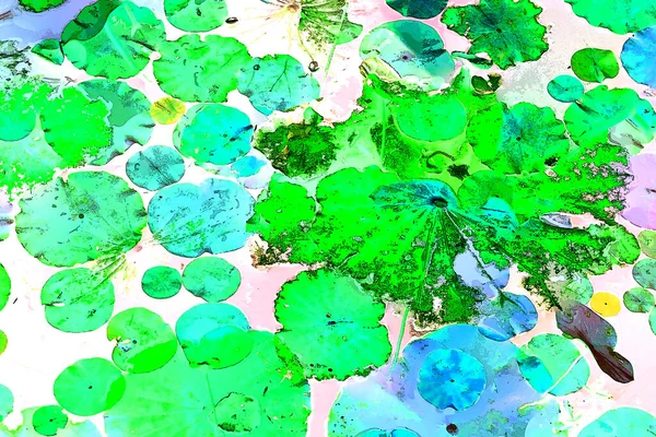 Nilüfer yaprakları ve nilüfer yapraklarıyla sunulan zarif desenli tasarım.