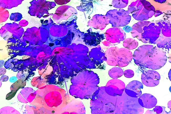 Nilüfer yaprakları ve nilüfer yapraklarıyla sunulan zarif desenli tasarım.