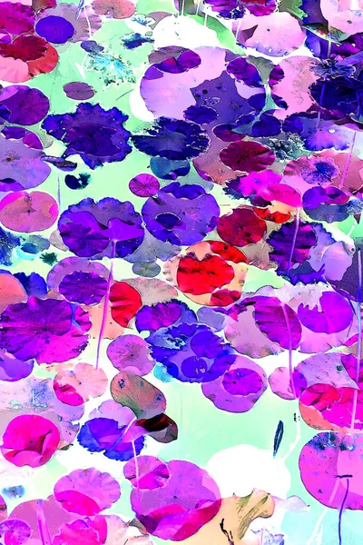 Nilüfer yaprakları ve nilüfer yapraklarıyla sunulan zarif desenli tasarım.