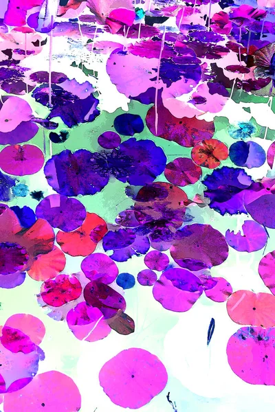 Nilüfer yaprakları ve nilüfer yapraklarıyla sunulan zarif desenli tasarım.