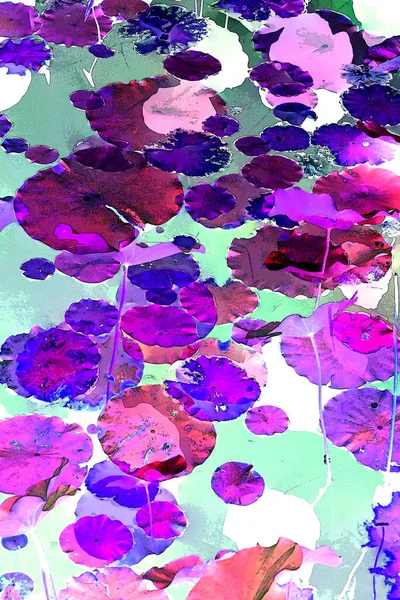 Nilüfer yaprakları ve nilüfer yapraklarıyla sunulan zarif desenli tasarım.