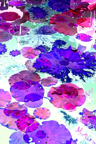 Nilüfer yaprakları ve nilüfer yapraklarıyla sunulan zarif desenli tasarım.